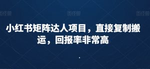 小红书矩阵达人项目，直接复制搬运，回报率非常高-新手副业项目