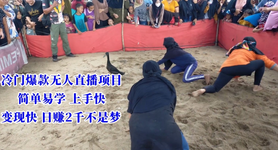 冷门爆款无人直播项目，简单易学上手快，变现快日赚2千不是梦【揭秘】-新手副业项目