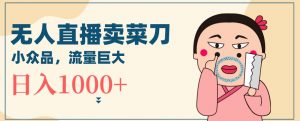 无人冷门品直播新玩法,通过卖菜刀日入1000+【揭秘】-新手副业项目