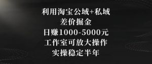 利用淘宝公域+私域差价掘金，日赚1000-5000元，工作室可放大操作，实操稳定半年【揭秘】-新手副业项目