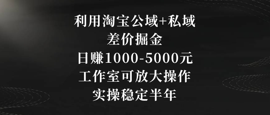 利用淘宝公域+私域差价掘金，日赚1000-5000元，工作室可放大操作，实操稳定半年【揭秘】-新手副业项目
