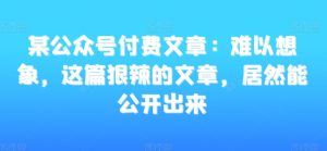 某公众号付费文章：难以想象，这篇狠辣的文章，居然能公开出来-新手副业项目