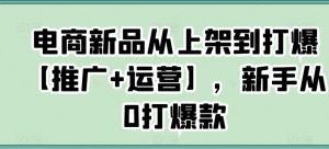电商新品从上架到打爆【推广+运营】，新手从0打爆款-新手副业项目