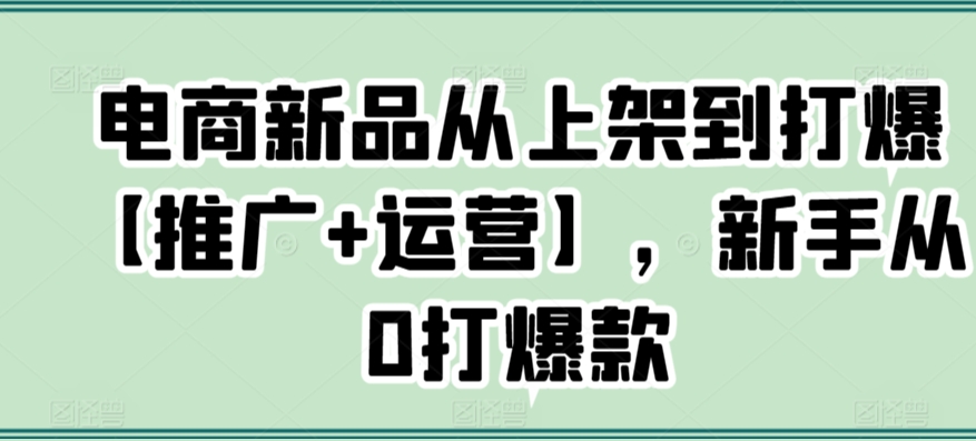 电商新品从上架到打爆【推广+运营】，新手从0打爆款-新手副业项目