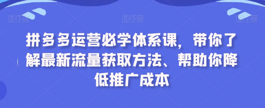 拼多多运营必学体系课,带你了解最新流量获取方法、帮助你降低推广成本-新手副业项目