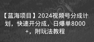 【蓝海项目】2024视频号分成计划，快速开分成，日爆单8000+，附玩法教程-新手副业项目