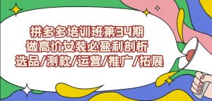 拼多多培训班第34期：做高价女装必盈利剖析选品/测款/运营/推广/拓展-新手副业项目