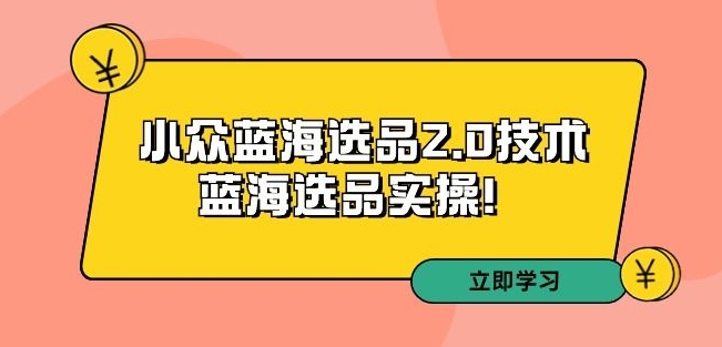 拼多多培训第33期：小众蓝海选品2.0技术-蓝海选品实操！-新手副业项目