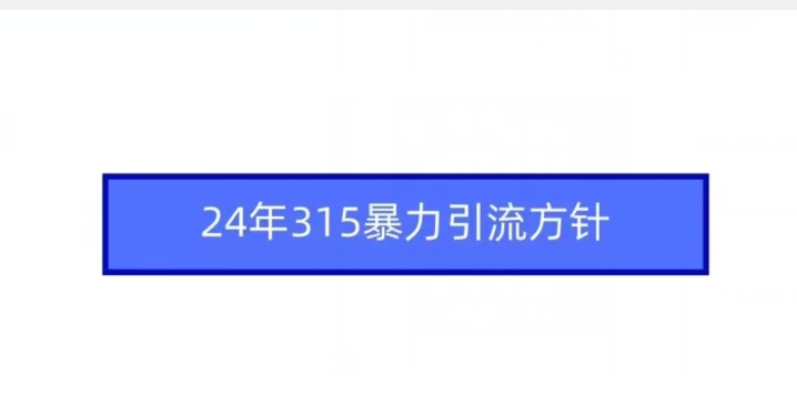 24年315暴力引流方针-新手副业项目