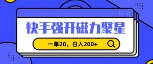 信息差赚钱项目，快手强开磁力聚星，一单20，日入200+【揭秘】-新手副业项目