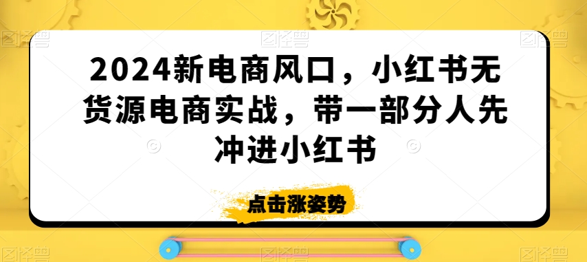 2024新电商风口，小红书无货源电商实战，带一部分人先冲进小红书-新手副业项目