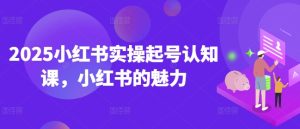 2025小红书实操起号认知课，小红书的魅力-新手副业项目