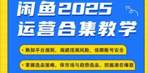 2025闲鱼电商运营全集，2025最新咸鱼玩法-新手副业项目