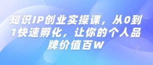 知识IP创业实操课，从0到1快速孵化，让你的个人品牌价值百W-新手副业项目
