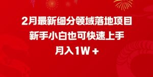 2月最新细分领域落地项目，新手小白也可快速上手，月入1W-新手副业项目