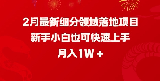 2月最新细分领域落地项目，新手小白也可快速上手，月入1W-新手副业项目