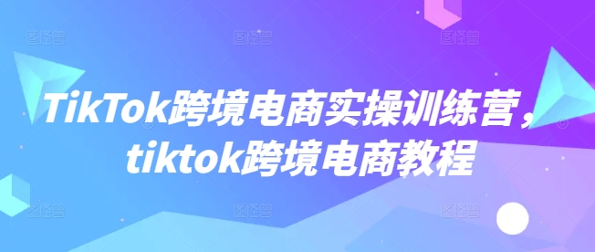 TikTok跨境电商实操训练营，tiktok跨境电商教程-新手副业项目