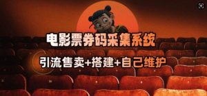 电影票券码采集系统_从商户放单转型做抢单达人-新手副业项目