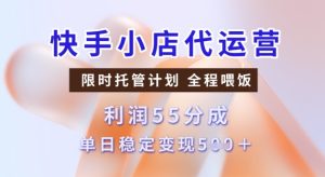 快手小店代运营3.0,模式新升级,收益55分,稳定单日5张【揭秘】-新手副业项目