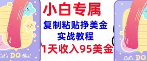 复制粘贴挣美金,0门槛,1天收入95美刀,3分钟学会,内部教程(首次公开)-新手副业项目