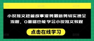 小说推文短篇故事混剪最新剪辑实操全流程，0基础也能学会小说推文教程，肯干多发日入多张-新手副业项目
