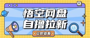 全网首发悟空网盘云真机自撸拉新项目玩法单机可挣10.20不等-新手副业项目