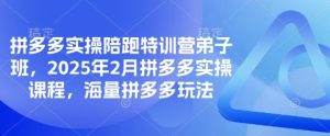拼多多实操陪跑特训营弟子班，2025年2月拼多多实操课程，海量拼多多玩法-新手副业项目
