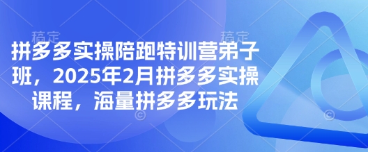拼多多实操陪跑特训营弟子班，2025年2月拼多多实操课程，海量拼多多玩法-新手副业项目