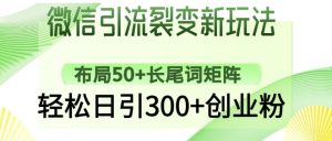 微信引流裂变新玩法：布局50+长尾词矩阵，轻松日引300+创业粉-新手副业项目