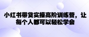 小红书带货实操高阶训练营，让每个人都可以轻松学会-新手副业项目