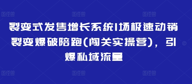裂变式发售增长系统1场极速动销裂变爆破陪跑(闯关实操营)，引爆私域流量-新手副业项目