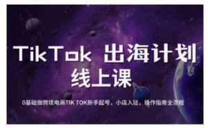 TikTok跨境电商新手起号与运营全攻略，0基础做跨境电商TIKTOK新手起号，小店入驻，操作指南全流程-新手副业项目