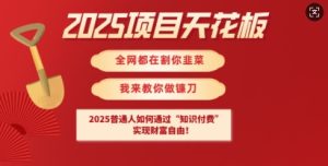 2025项目天花板普通人如何通过知识付费,实现财F自由【揭秘】-新手副业项目
