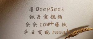 用DeepSeek做疗愈视频,条条10W+爆款,单日变现多张-新手副业项目