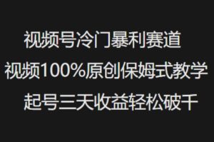 视频号冷门暴利赛道视频100%原创保姆式教学起号三天收益轻松破千-新手副业项目