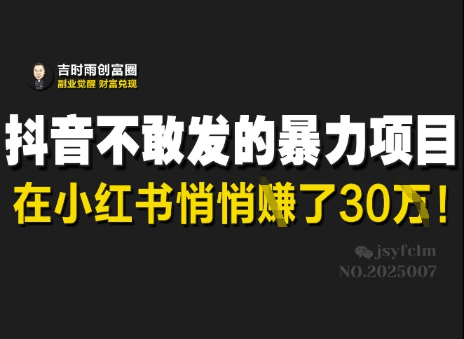 抖音不敢发的暴利项目，在小红书悄悄挣了30W-新手副业项目