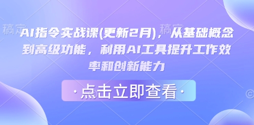 AI指令实战课(更新2月)，从基础概念到高级功能，利用AI工具提升工作效率和创新能力-新手副业项目