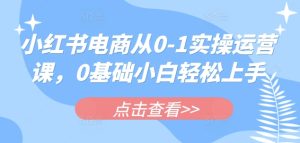小红书电商从0-1实操运营课，0基础小白轻松上手-新手副业项目