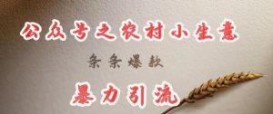 deepseek写农村小项目，条条爆款，暴力引流-新手副业项目