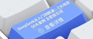 DeepSeek从入门到精通：7大场景 50大案例 全套提示词【文档】-新手副业项目