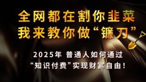 全网都在割你韭菜，我来教你做镰刀，2025普通人如何通过知识付费，实现财F自由【揭秘】-新手副业项目