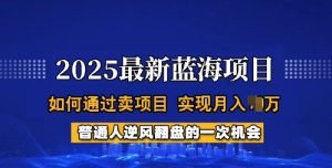 2025蓝海项目，普通人如何通过卖项目，实现月入过W，全过程【揭秘】-新手副业项目