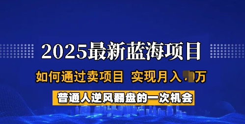 2025蓝海项目，普通人如何通过卖项目，实现月入过W，全过程【揭秘】-新手副业项目