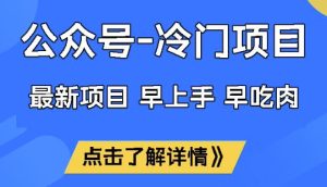 公众号冷门赛道，早上手早吃肉，单月轻松稳定变现1W【揭秘】-新手副业项目