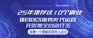 25年推荐这10个副业项目包含褂鸡类、代运营托管类、全自动打金类【揭秘】-新手副业项目