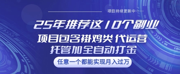 25年推荐这10个副业项目包含褂鸡类、代运营托管类、全自动打金类【揭秘】-新手副业项目
