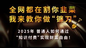 全网都在割你韭菜，我来教你做镰刀,2025普通人如何通过知识付费，实现财F自由【揭秘】-新手副业项目