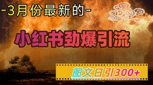 小红书超劲爆引流手段，图文日引300+轻松变现1W-新手副业项目