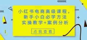 小红书电商高级课程,新手小白必学方法,实操教学+案例分析-新手副业项目