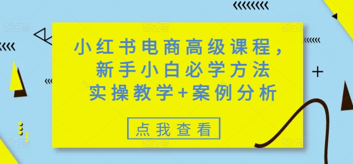小红书电商高级课程，新手小白必学方法，实操教学+案例分析-新手副业项目